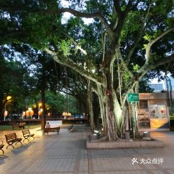 二、怎么到达古田路？