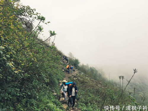 风景背后的阴影：九峰山到底怎么了？
