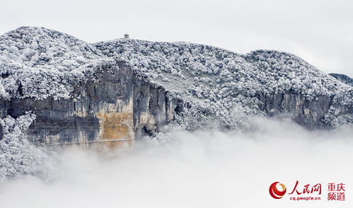 金佛山：南国雪原，梦幻冰雪世界