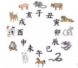 踏是什么生肖？生肖踏光来完整图解是什么意思？