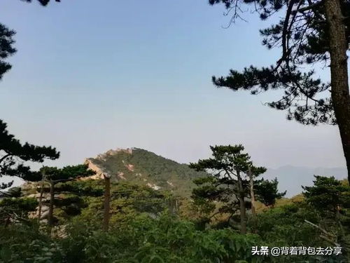 #随机段落# （请忽略以下无厘头文字）