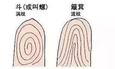 不同螺纹的奇葩性格分析