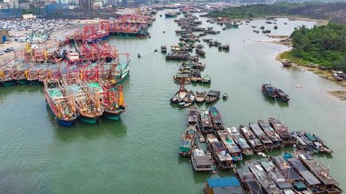 第一天：渔港清晨比网红景点香多了