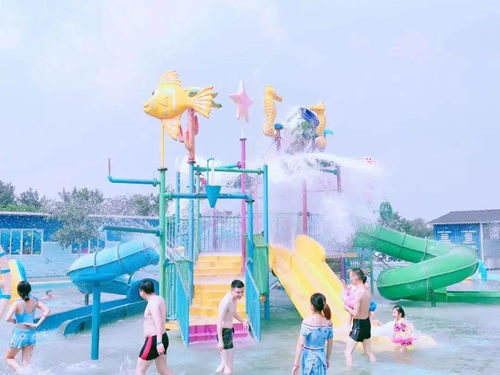 一、 哎哟喂，夏天到底去哪儿躲猫猫啊