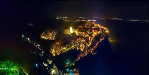 秋夜月黑风高，古寺钟声惊魂，落叶堆满荒径，这是不是让人心惊胆战的场景呢？