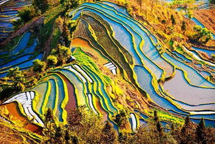 马里村景区（八达景区）：哈尼文化底蕴的浓郁气息