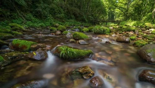血泪经验：我是怎么从门票地狱逃出来的
