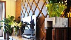 家居正能量：绿植吉祥， 生旺运势