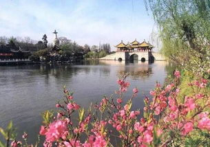 瘦西湖：古典园林与樱花的碰撞