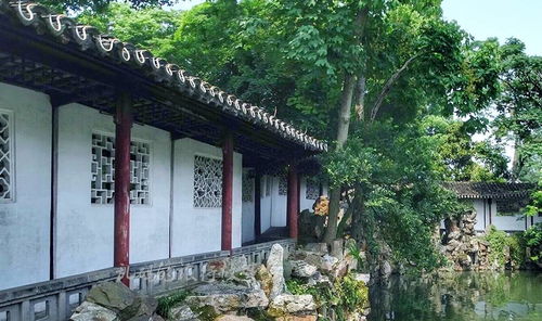 门票争议大揭秘：40块到底买了个啥？