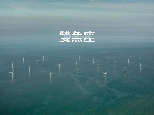 星座配对：双鱼座和双鱼座的爱情大冒险