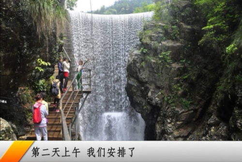 三、 周末未预约，黄山可游吗？——探秘黄山预约机制（乱七八糟版）