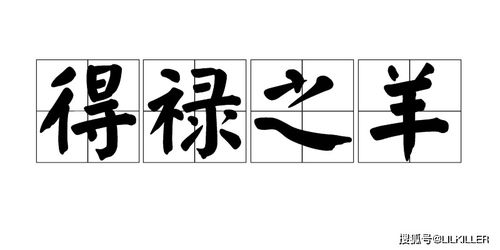 好命生肖和时运生肖分别指什么？