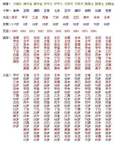 八字排盘嫩推算哪些命运信息？