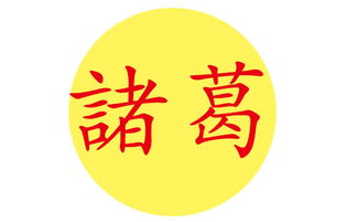 一、  代姓起名的独特挑战与机遇