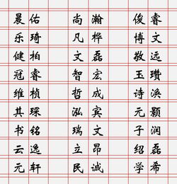 2026年沙姓女孩起名，有没有简单大气又好记的名字推荐？