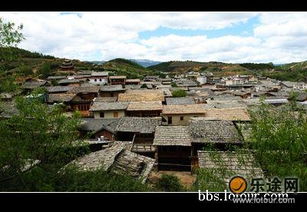 滇西北民宿市场：一个巨大的坑