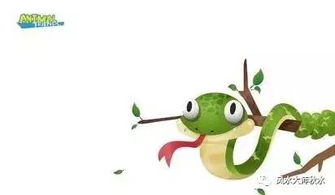 调整心态，迎接好运降临