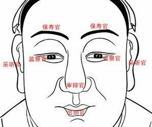眉骨像被门夹过的人注意了！