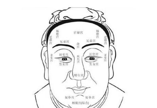 如何同过面相气色来判断一个人的运势和性格特点？