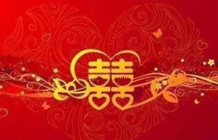 属兔的人