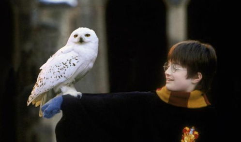 不安的蔓延