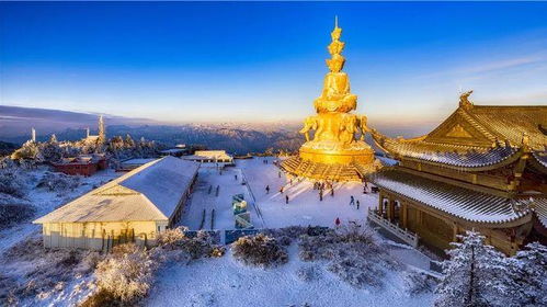 峨眉山旅游避坑指南：2026年最新黄历与野路子玩法