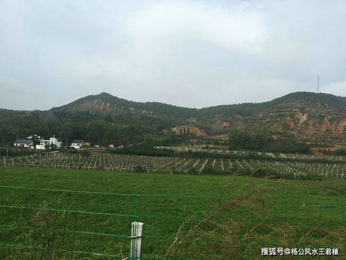 惯与“龙脉”那些事儿