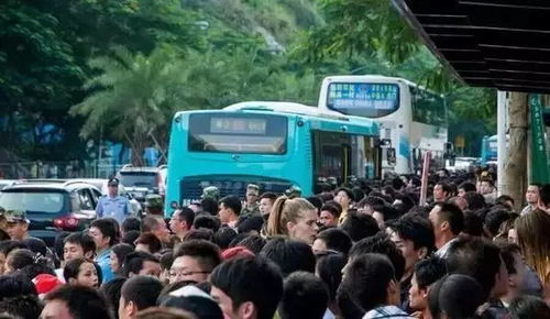 公交：经济实惠的选择