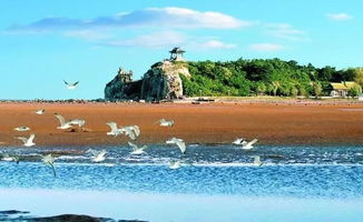 一、 夏日北戴河，探秘海滨风情