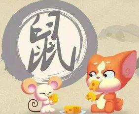 生肖蛇：理性和智慧的代表