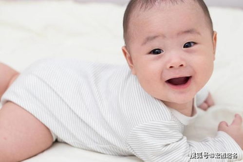 第一步：搜集灵感——从天然到网络， 从童话到科幻……