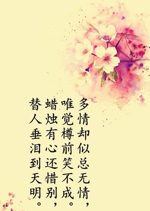 第四章：紫微斗数的启示