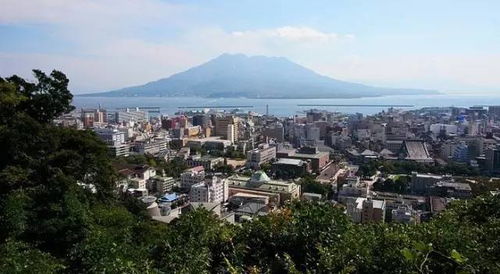 1.1 惯与樱岛的碎碎念