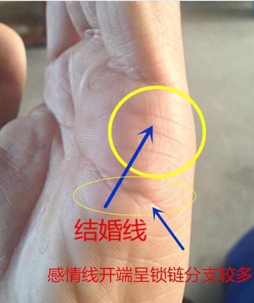 婚姻线的奥秘