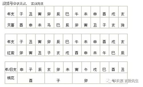 附录：常见误区速查表（乱序版）