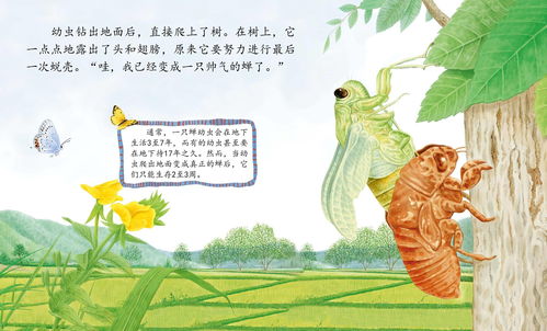 小明的故事：噩梦开始