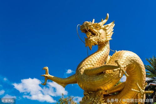 一、龙——天子之气，才华如火