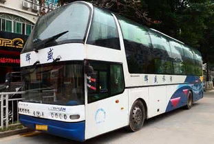 价格迷雾：玩的就是心跳