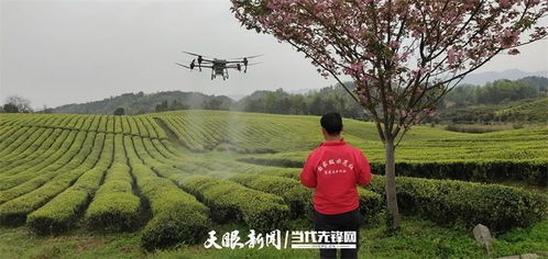 再说说的舞蹈与未完的旅程