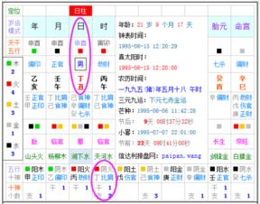 出生时间算五行八字，能否全面解析一个人的命运走向？