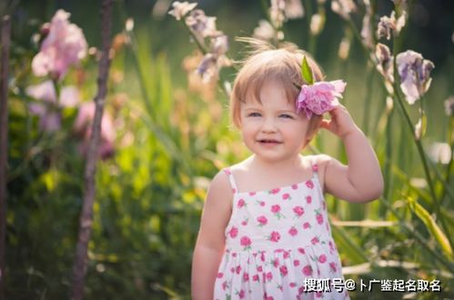 三、 名字推荐表格——随便挑挑看，别太认真实