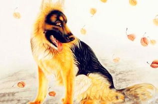 1958年属狗人2025年运势如何？2026年整体运势怎样？