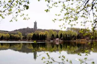 净月潭风景区：清晨雾气与秋叶交织的梦境