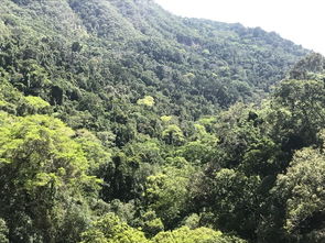王子山：自然的明珠 (明珠闪耀吗?)