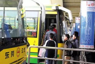 5. 公交党的胜利