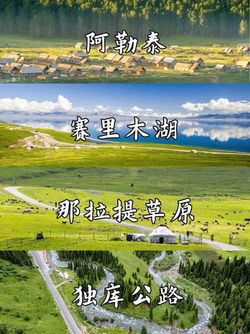 第七天：返回乌鲁木齐—收拾行囊+留念+回味无穷