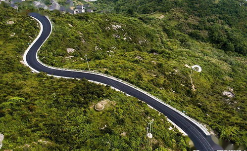 晨光里的乱糟糟出发——从杭州东到普陀山