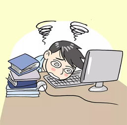 梦见熊飞起来是什么预兆？预示着什么特殊含义或即将发生的事情？