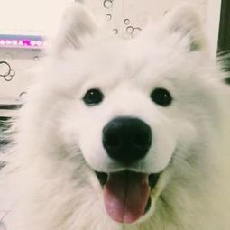 双鱼座：永远的少女心